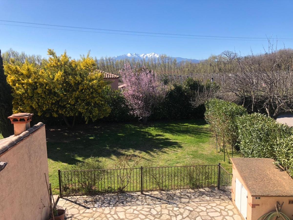 Au Mimosa -Gite Le Canigou Passa Exteriér fotografie