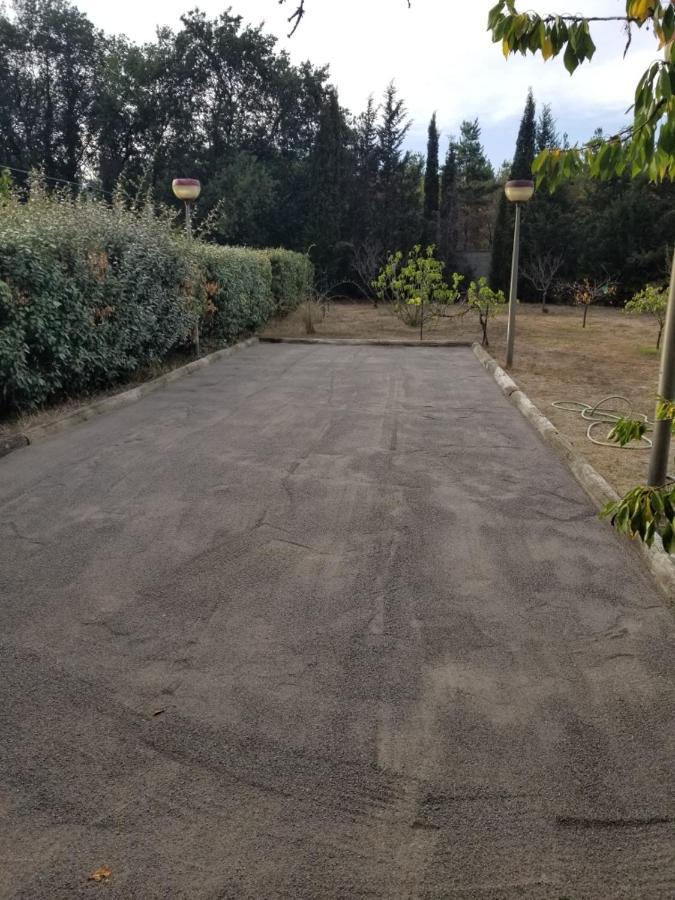 Au Mimosa -Gite Le Canigou Passa Exteriér fotografie