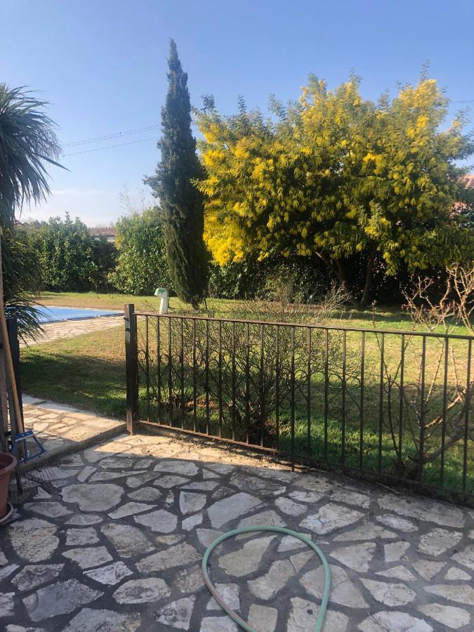 Au Mimosa -Gite Le Canigou Passa Exteriér fotografie